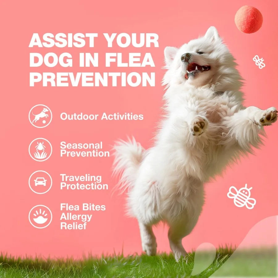 Dog Flea and Tick Treatment Chews FleaTick Prevention for Dogs Chewables Natural Dog Flea Tick Control Soft Treats Immune Suppo - TrendForce25