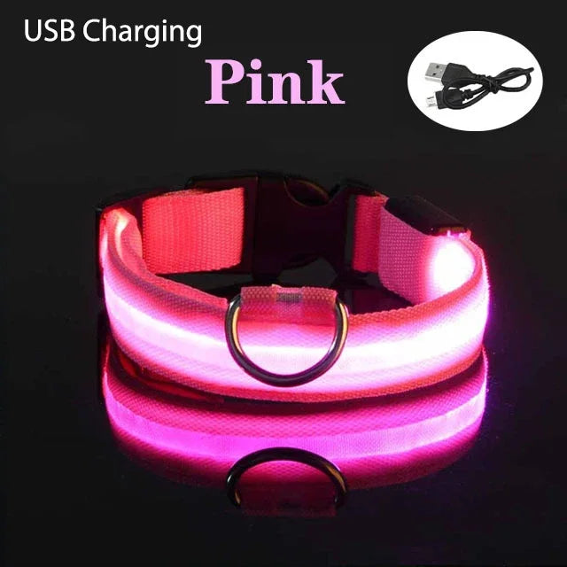 XS/M LED Dog Collar USB Rechargeable Light Dog Collar Lights Adjustable Soft Safety Night Light Flashing 3 modes Pet Supplies - TrendForce25
