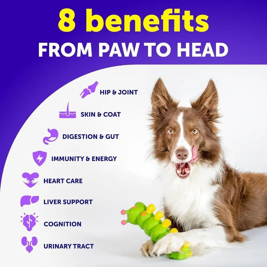 Dog Multivitamin Chewable with Glucosamine 20 in 1 Dog Vitamins and Supplements Senior Puppy Multivitamin for Dogs Pet Joint Su - TrendForce25
