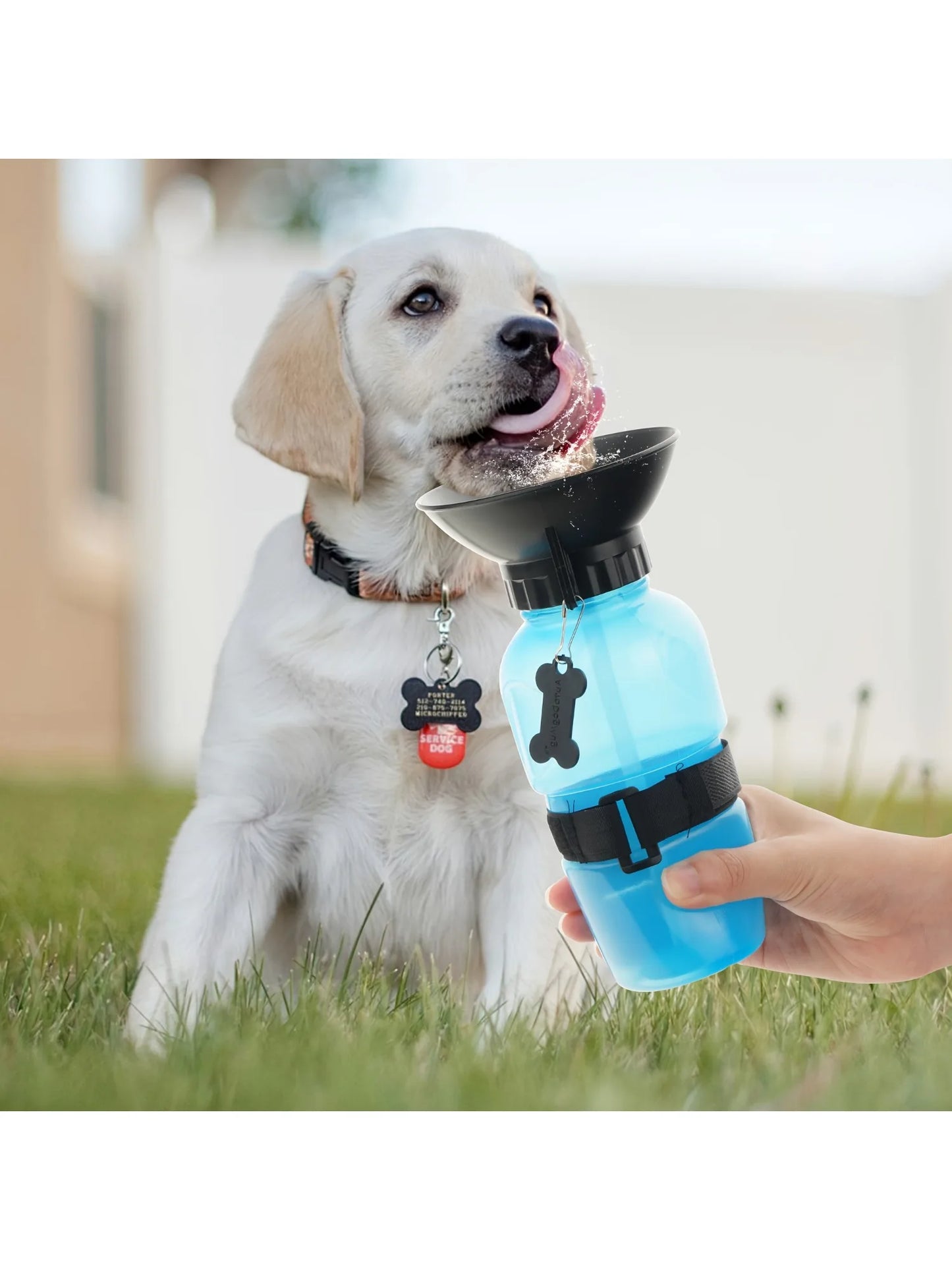 Dog Water Bottle, Portable Travel Water Bottle Dispenser For Dogs - Cats & Kitten Outdoor Travel Water Bottle Bowl, - TrendForce25