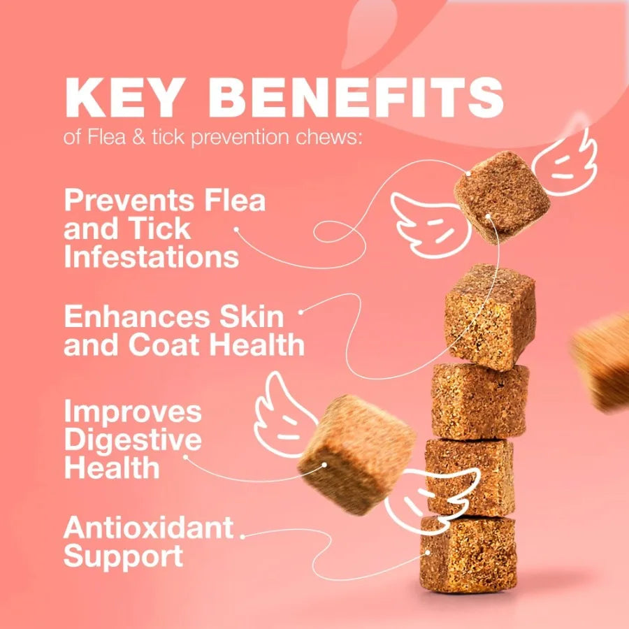 Flea Treatment for Cats Daily Oral Cat Flea and Tick Treatment Chews Chewable Kitten Flea Treatment Soft Treats for All Breeds - TrendForce25