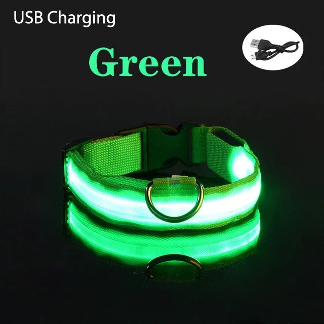 XS/M LED Dog Collar USB Rechargeable Light Dog Collar Lights Adjustable Soft Safety Night Light Flashing 3 modes Pet Supplies - TrendForce25