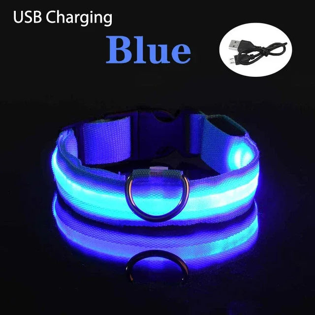 XS/M LED Dog Collar USB Rechargeable Light Dog Collar Lights Adjustable Soft Safety Night Light Flashing 3 modes Pet Supplies - TrendForce25