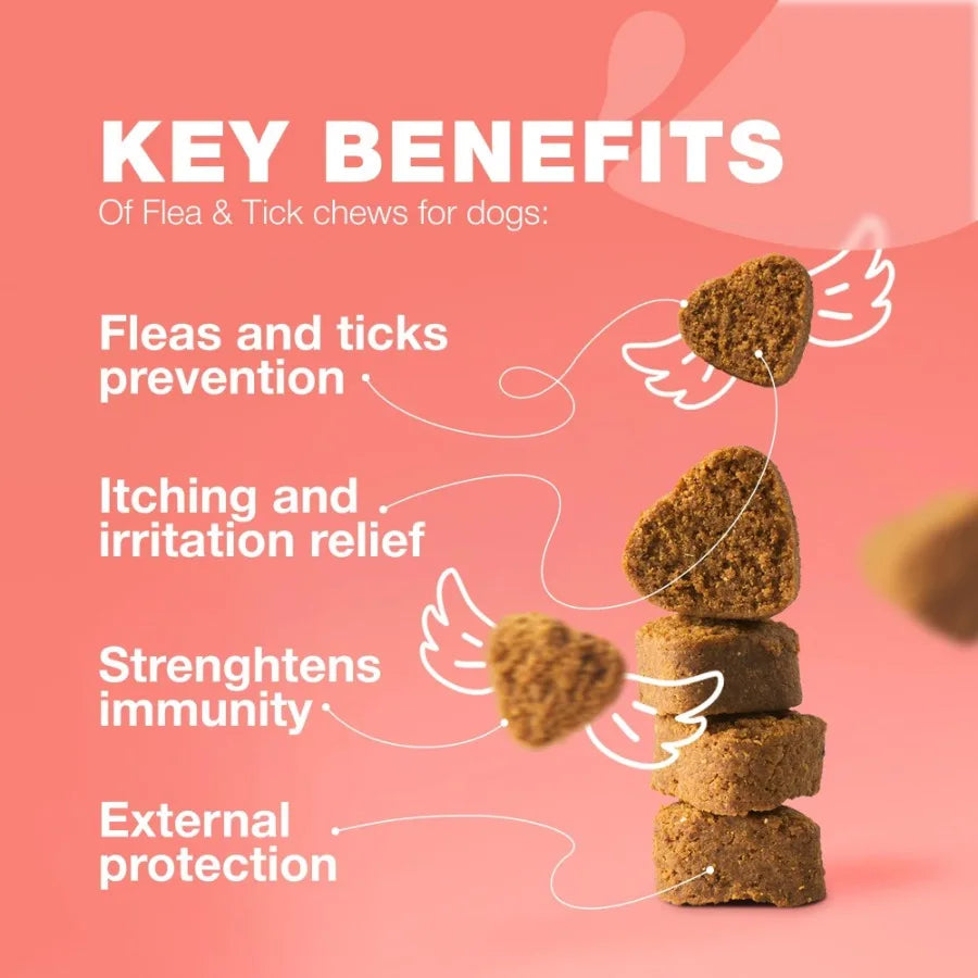 Dog Flea and Tick Treatment Chews FleaTick Prevention for Dogs Chewables Natural Dog Flea Tick Control Soft Treats Immune Suppo - TrendForce25