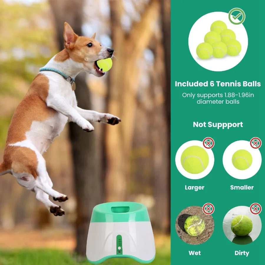 Automatic Dog Ball Launcher Included 6 Tennis Balls Dog With 3 Adjustable Launch Distance Interactive Ball Thrower Fetch Machin - TrendForce25