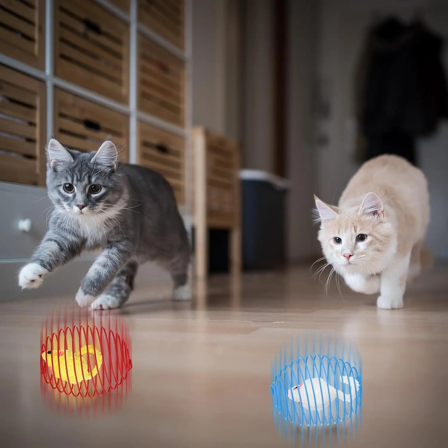 5 cat spring balls, stretchable spring toys, interactive rolling balls, colorful and interesting coil springs - TrendForce25