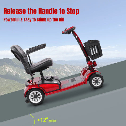 Unific Four-Wheeled Electric Scooter, 250W, 24V 20AH, 4.8MPH Max Speed, 21 Miles Range, Ideal For Short Trips and Urban Living