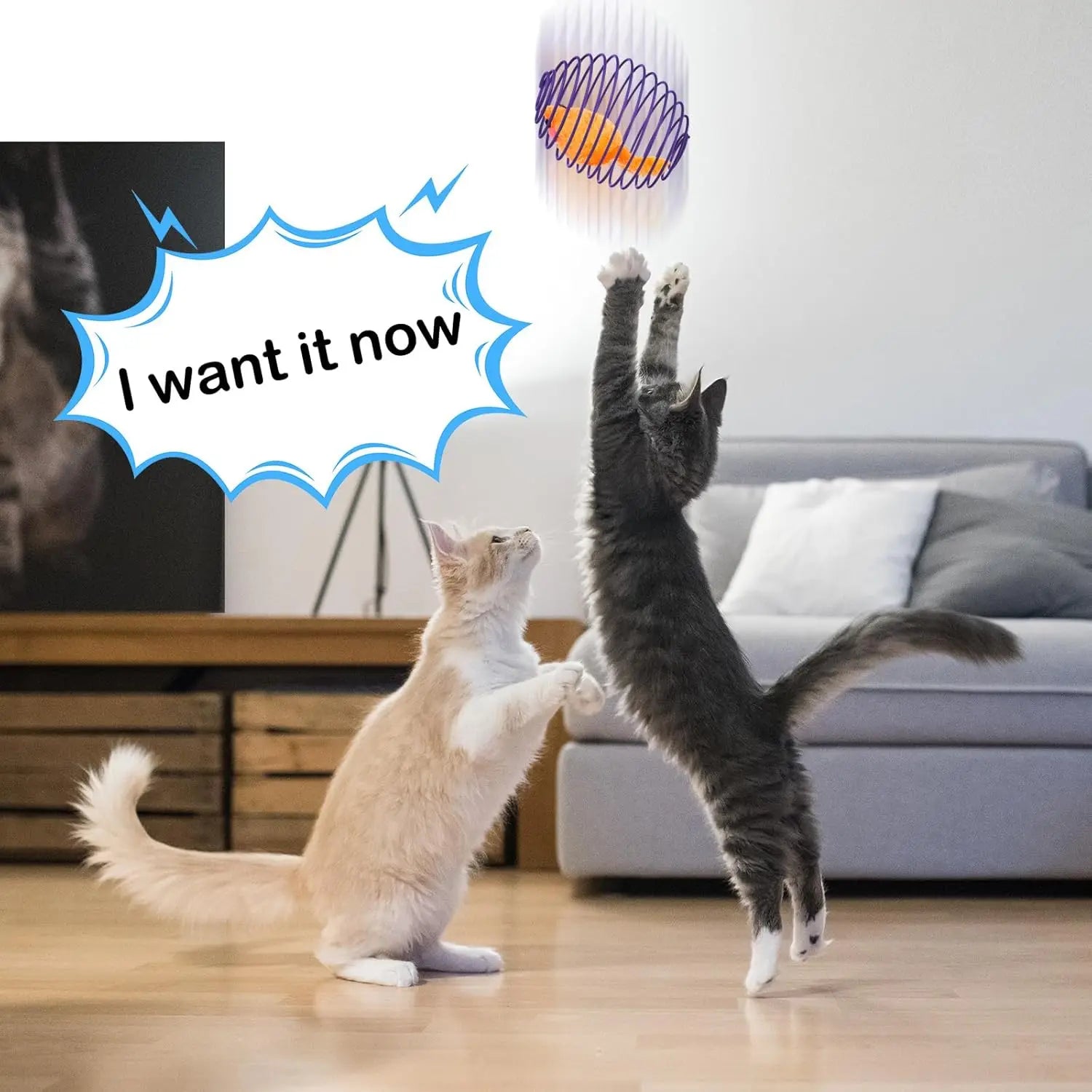 5 cat spring balls, stretchable spring toys, interactive rolling balls, colorful and interesting coil springs - TrendForce25